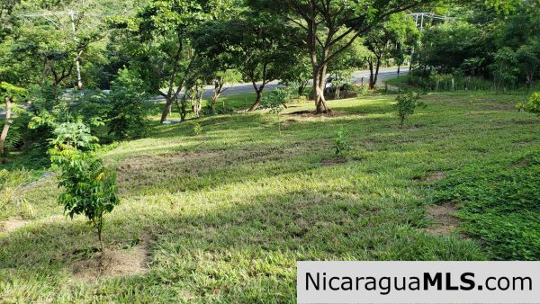 Multi Use Land For Home or Business San Juan del Sur - Image 17