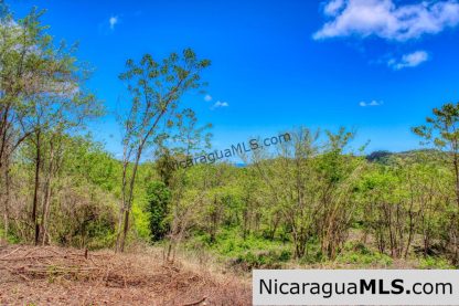 Eco Estate View Property 1.5 Acres Las Fincas de Escamequita - Image 4