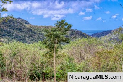Ocean View Rolling Acres Privacy Arriba Verde Estate