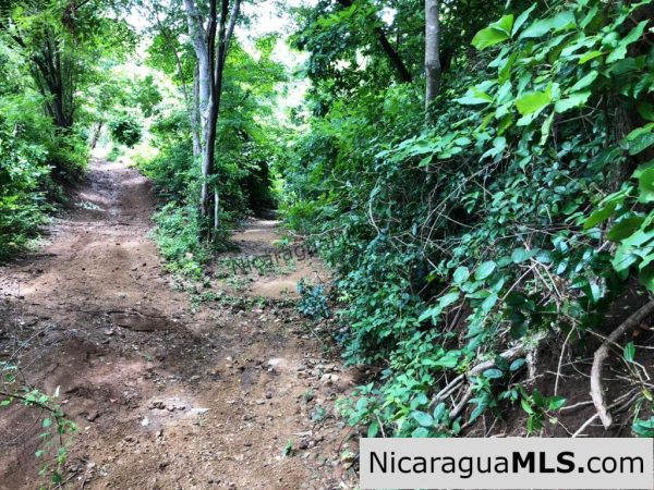 4 Acres in Las Delicias on the Road to Playa Coco - Image 18