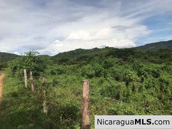 Flat Two Manzana Lot with Great Potential in Las Delicias - Image 2