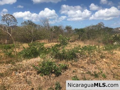 Ocean View Lot 46 for sale in Lomas de Palermo Overlooking SJDS