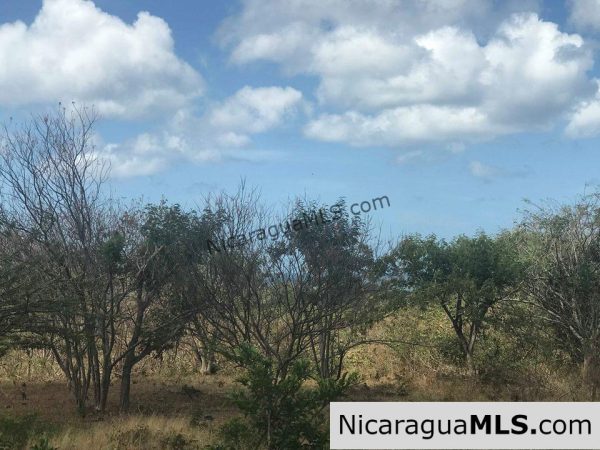 Ocean View Lot 46 for sale in Lomas de Palermo Overlooking SJDS - Image 13