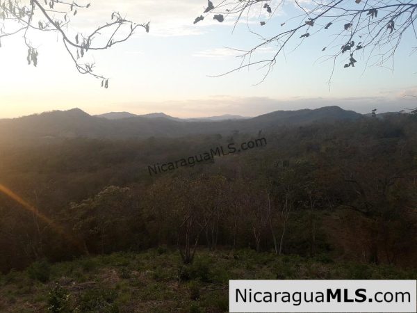 Rancho Papayal Lot 38