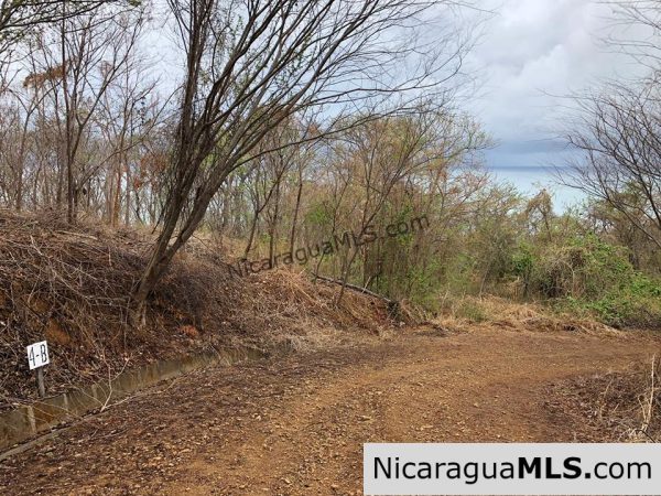 ¼ Acre Ocean View Lot 4B for Sale at Playa Yankee - Image 2