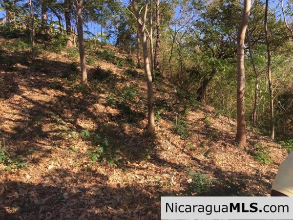 Unspoiled Jungle Property in Miravalle