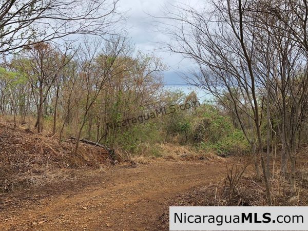 ¼ Acre Ocean View Lot 4B for Sale at Playa Yankee - Image 3