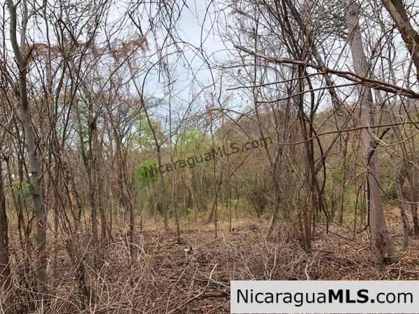 ¼ Acre Ocean View Lot 4B for Sale at Playa Yankee - Image 4