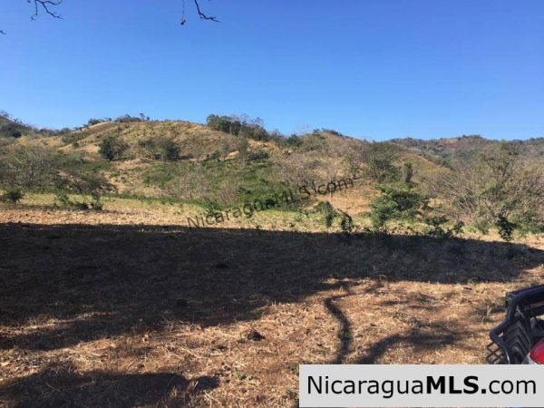 Unspoiled Jungle Property in Miravalle - Image 3