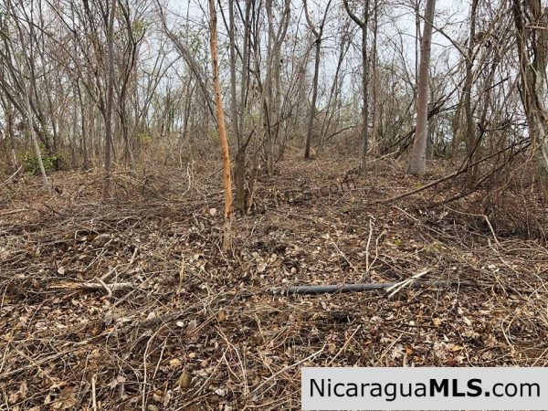 ¼ Acre Ocean View Lot 4B for Sale at Playa Yankee - Image 5