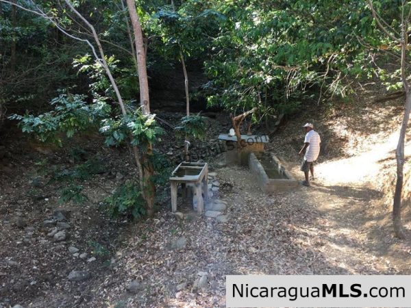 Unspoiled Jungle Property in Miravalle - Image 4