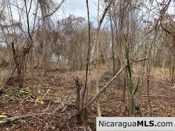 ¼ Acre Ocean View Lot 4B for Sale at Playa Yankee - Image 7