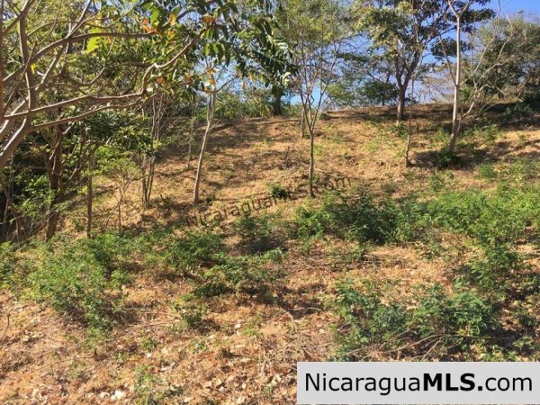 Unspoiled Jungle Property in Miravalle - Image 7