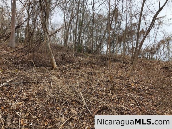 ¼ Acre Ocean View Lot 4B for Sale at Playa Yankee - Image 8