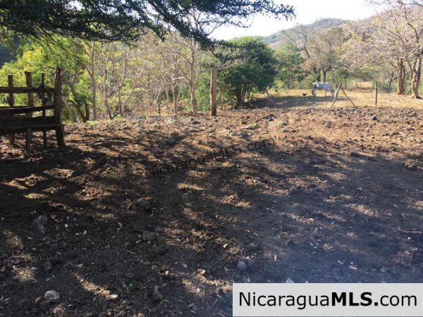 Unspoiled Jungle Property in Miravalle - Image 8