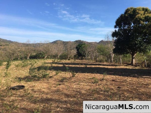 Unspoiled Jungle Property in Miravalle - Image 10