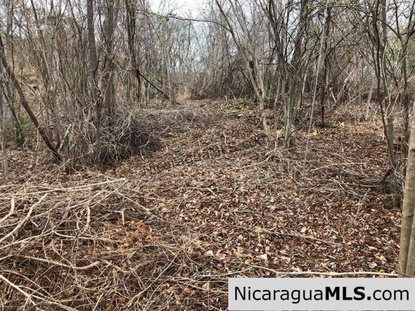 ¼ Acre Ocean View Lot 4B for Sale at Playa Yankee - Image 10