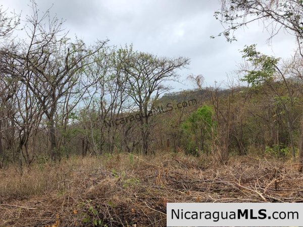 ¼ Acre Ocean View Lot 4B for Sale at Playa Yankee - Image 12