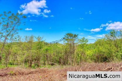 Eco Estate View Property 1.5 Acres Las Fincas de Escamequita - Image 5