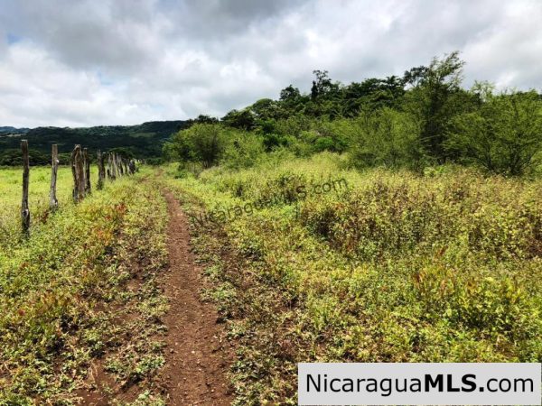 4 Acres in Las Delicias on the Road to Playa Coco - Image 6