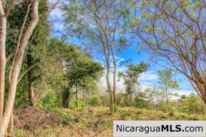 Half Acre Lot Luxury Life Development TreeCasa FIRE SALE