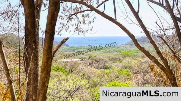 42 Acres Ocean View Road to Maderas San Juan del Sur - Image 6
