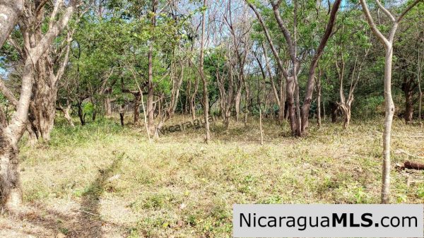 Premium Acre Road to Beaches No Restrictions San Juan del Sur - Image 4
