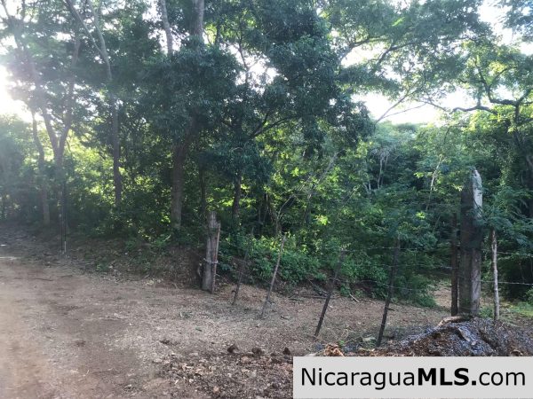 40 Acres of land with Ocean View and with direct access to the Costanera road. San Juan del Sur-Nicaragua - Image 6