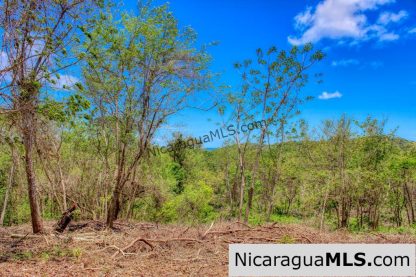 Eco Estate View Property 1.5 Acres Las Fincas de Escamequita - Image 7