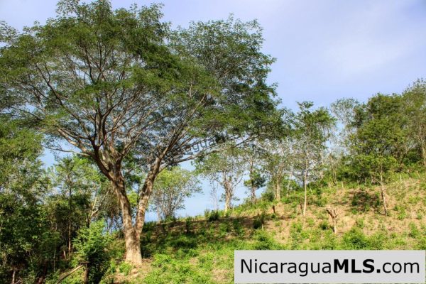 7 Acre View Homesite Minutes to San Juan del Sur Town - Image 14