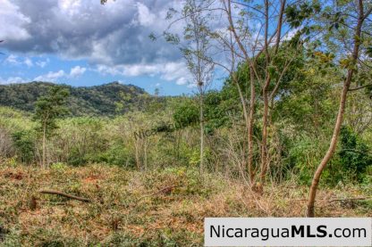 Ocean View Rolling Acres Privacy Arriba Verde Estate