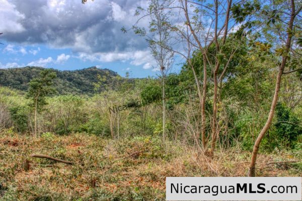 Ocean View Rolling Acres Privacy Arriba Verde Estate - Image 4