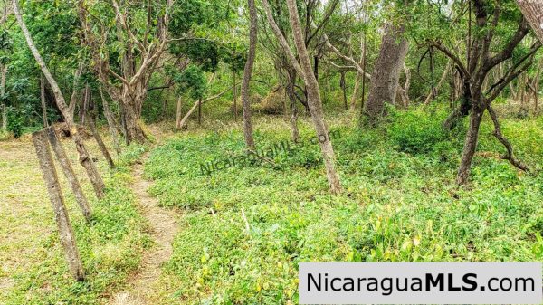 Premium Acre Road to Beaches No Restrictions San Juan del Sur - Image 5