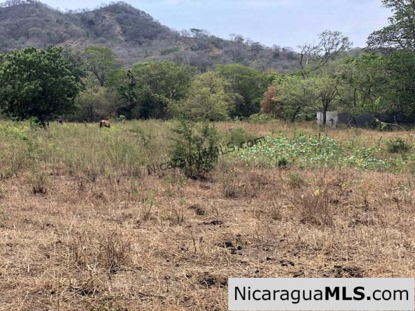 5 Acre Flat Lot For Sale on the Chocolata - Image 13