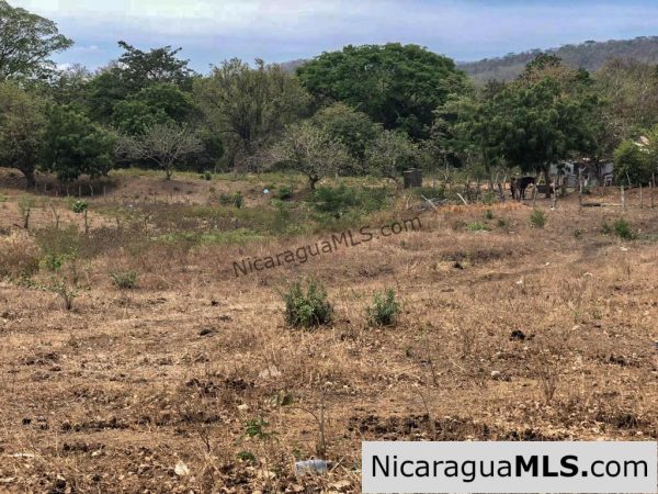 5 Acre Flat Lot For Sale on the Chocolata - Image 15