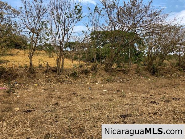 5 Acre Flat Lot For Sale on the Chocolata - Image 5