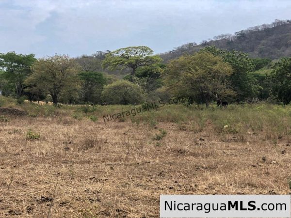 5 Acre Flat Lot For Sale on the Chocolata - Image 7