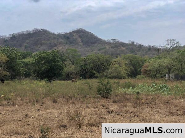 5 Acre Flat Lot For Sale on the Chocolata - Image 8