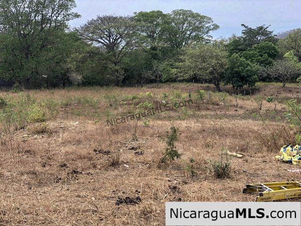 5 Acre Flat Lot For Sale on the Chocolata - Image 9