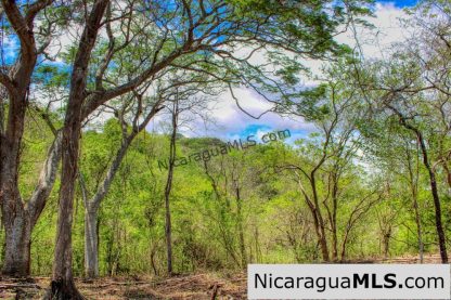 Eco Estate View Property 1.5 Acres Las Fincas de Escamequita - Image 6