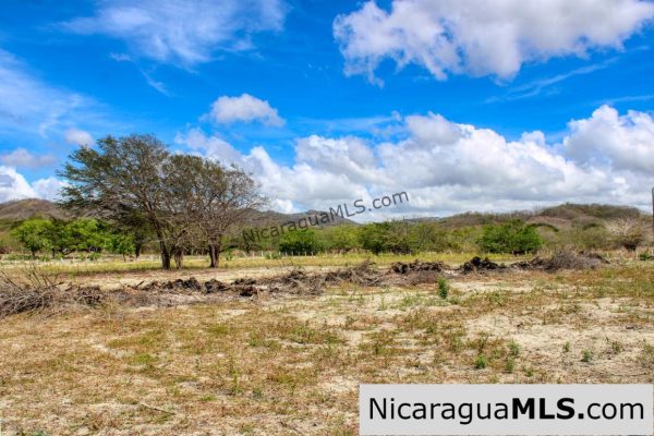 1 Block to Ocean 3.5 acres Lots 5 & 6 Prado de la Bahia Ostional - Image 6