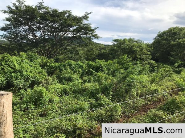 Flat Two Manzana Lot with Great Potential in Las Delicias - Image 3