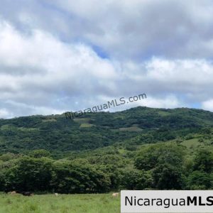 4 Acres in Las Delicias on the Road to Playa Coco
