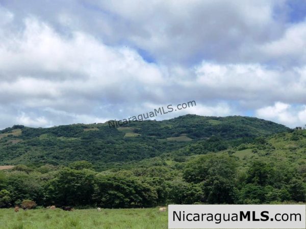4 Acres in Las Delicias on the Road to Playa Coco