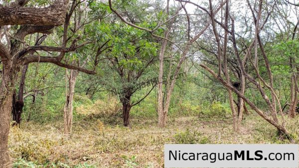 Premium Acre Road to Beaches No Restrictions San Juan del Sur - Image 6