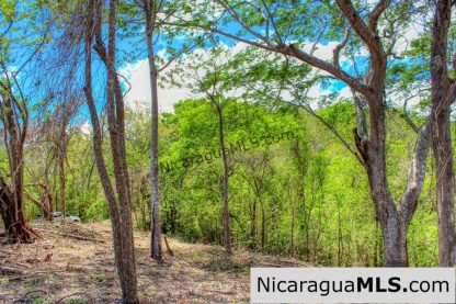 Eco Estate View Property 1.5 Acres Las Fincas de Escamequita - Image 8