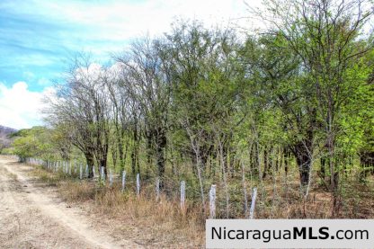 1 Block to Ocean 3.5 acres Lots 5 & 6 Prado de la Bahia Ostional
