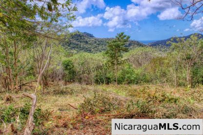 Ocean View Rolling Acres Privacy Arriba Verde Estate