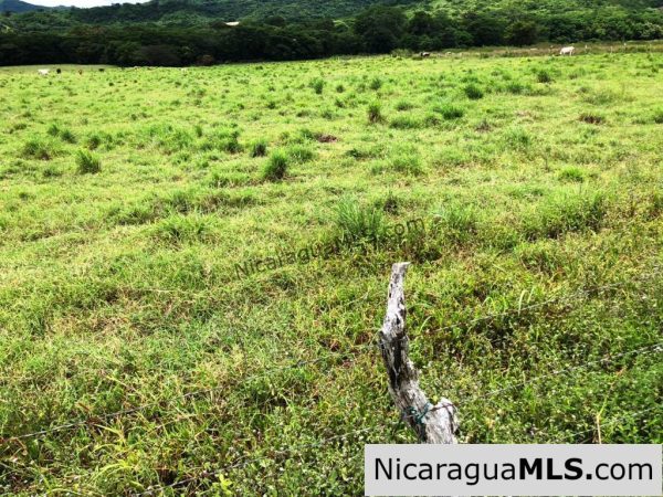 4 Acres in Las Delicias on the Road to Playa Coco - Image 12
