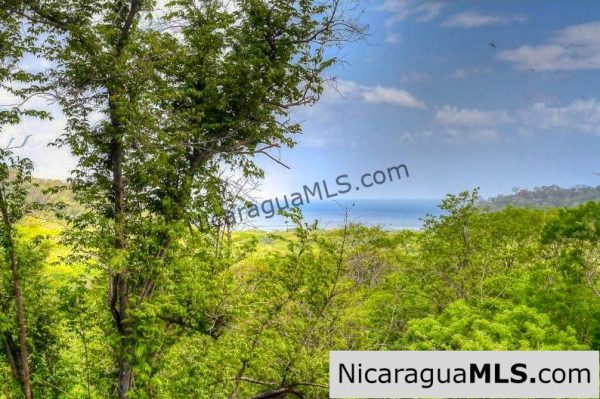 42 Acres Ocean View Road to Maderas San Juan del Sur - Image 4